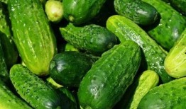 山东黄瓜爆料视频最新版,揭秘真相与争议